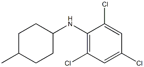 2,4,6-trichloro-N-(4-methylcyclohexyl)aniline 结构式