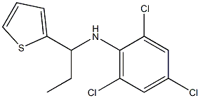 2,4,6-trichloro-N-[1-(thiophen-2-yl)propyl]aniline 结构式