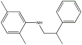 2,5-dimethyl-N-(2-phenylpropyl)aniline 结构式