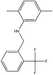 2,5-dimethyl-N-{[2-(trifluoromethyl)phenyl]methyl}aniline 结构式