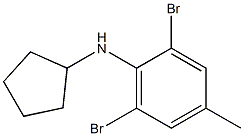 2,6-dibromo-N-cyclopentyl-4-methylaniline 结构式