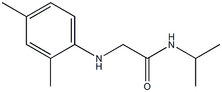 2-[(2,4-dimethylphenyl)amino]-N-(propan-2-yl)acetamide 结构式