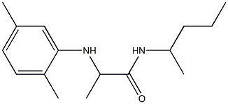 2-[(2,5-dimethylphenyl)amino]-N-(pentan-2-yl)propanamide 结构式