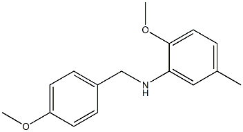 2-methoxy-N-[(4-methoxyphenyl)methyl]-5-methylaniline 结构式