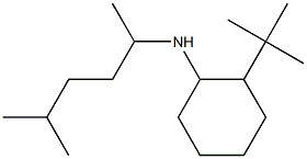 2-tert-butyl-N-(5-methylhexan-2-yl)cyclohexan-1-amine 结构式