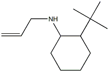 2-tert-butyl-N-(prop-2-en-1-yl)cyclohexan-1-amine 结构式