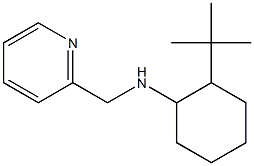 2-tert-butyl-N-(pyridin-2-ylmethyl)cyclohexan-1-amine 结构式