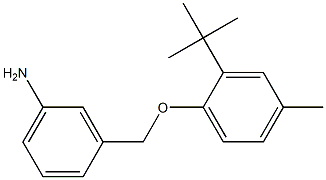 3-(2-tert-butyl-4-methylphenoxymethyl)aniline 结构式