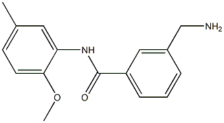 3-(aminomethyl)-N-(2-methoxy-5-methylphenyl)benzamide 结构式