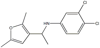 3,4-dichloro-N-[1-(2,5-dimethylfuran-3-yl)ethyl]aniline 结构式