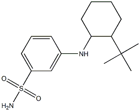 3-[(2-tert-butylcyclohexyl)amino]benzene-1-sulfonamide 结构式
