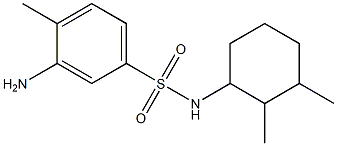 3-amino-N-(2,3-dimethylcyclohexyl)-4-methylbenzene-1-sulfonamide 结构式