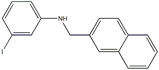 3-iodo-N-(naphthalen-2-ylmethyl)aniline 结构式