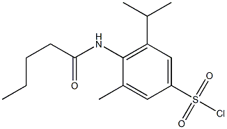 3-methyl-4-pentanamido-5-(propan-2-yl)benzene-1-sulfonyl chloride 结构式