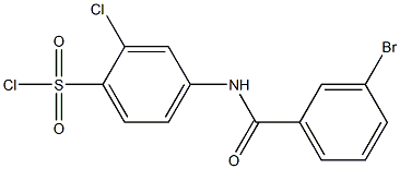 4-[(3-bromobenzene)amido]-2-chlorobenzene-1-sulfonyl chloride 结构式