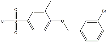 4-[(3-bromophenyl)methoxy]-3-methylbenzene-1-sulfonyl chloride 结构式