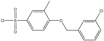 4-[(3-chlorophenyl)methoxy]-3-methylbenzene-1-sulfonyl chloride 结构式