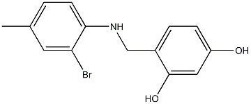 4-{[(2-bromo-4-methylphenyl)amino]methyl}benzene-1,3-diol 结构式