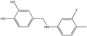 4-{[(3-fluoro-4-methylphenyl)amino]methyl}benzene-1,2-diol 结构式