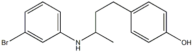 4-{3-[(3-bromophenyl)amino]butyl}phenol 结构式