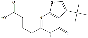 4-{5-tert-butyl-4-oxo-3H,4H-thieno[2,3-d]pyrimidin-2-yl}butanoic acid 结构式