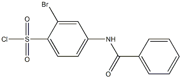 4-benzamido-2-bromobenzene-1-sulfonyl chloride 结构式