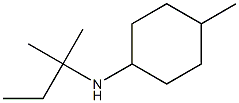 4-methyl-N-(2-methylbutan-2-yl)cyclohexan-1-amine 结构式