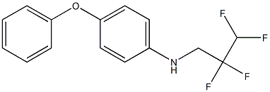 4-phenoxy-N-(2,2,3,3-tetrafluoropropyl)aniline 结构式