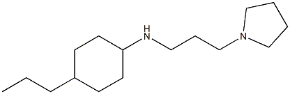 4-propyl-N-[3-(pyrrolidin-1-yl)propyl]cyclohexan-1-amine 结构式