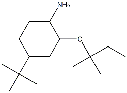 4-tert-butyl-2-[(2-methylbutan-2-yl)oxy]cyclohexan-1-amine 结构式