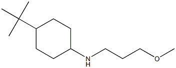 4-tert-butyl-N-(3-methoxypropyl)cyclohexan-1-amine 结构式