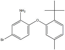 5-bromo-2-(2-tert-butyl-5-methylphenoxy)aniline 结构式