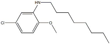 5-chloro-2-methoxy-N-octylaniline 结构式