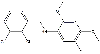 5-chloro-N-[(2,3-dichlorophenyl)methyl]-2,4-dimethoxyaniline 结构式
