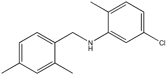 5-chloro-N-[(2,4-dimethylphenyl)methyl]-2-methylaniline 结构式