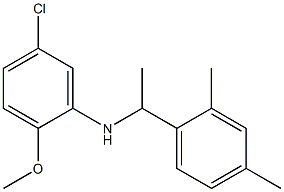 5-chloro-N-[1-(2,4-dimethylphenyl)ethyl]-2-methoxyaniline 结构式