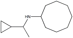 N-(1-cyclopropylethyl)cyclooctanamine 结构式