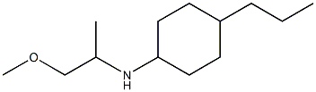 N-(1-methoxypropan-2-yl)-4-propylcyclohexan-1-amine 结构式