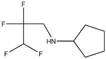 N-(2,2,3,3-tetrafluoropropyl)cyclopentanamine 结构式