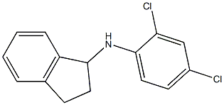 N-(2,4-dichlorophenyl)-2,3-dihydro-1H-inden-1-amine 结构式