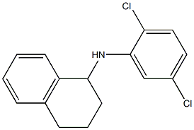 N-(2,5-dichlorophenyl)-1,2,3,4-tetrahydronaphthalen-1-amine 结构式