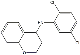 N-(2,5-dichlorophenyl)-3,4-dihydro-2H-1-benzopyran-4-amine 结构式