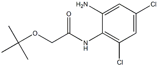 N-(2-amino-4,6-dichlorophenyl)-2-(tert-butoxy)acetamide 结构式