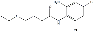 N-(2-amino-4,6-dichlorophenyl)-4-(propan-2-yloxy)butanamide 结构式