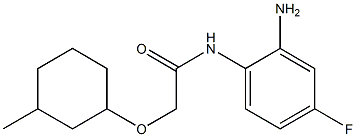 N-(2-amino-4-fluorophenyl)-2-[(3-methylcyclohexyl)oxy]acetamide 结构式