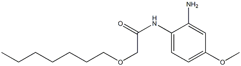 N-(2-amino-4-methoxyphenyl)-2-(heptyloxy)acetamide 结构式