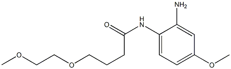 N-(2-amino-4-methoxyphenyl)-4-(2-methoxyethoxy)butanamide 结构式