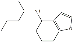 N-(pentan-2-yl)-4,5,6,7-tetrahydro-1-benzofuran-4-amine 结构式