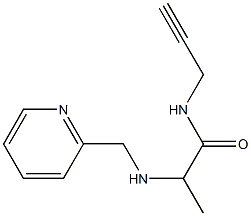 N-(prop-2-yn-1-yl)-2-[(pyridin-2-ylmethyl)amino]propanamide 结构式