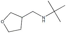 N-(tert-butyl)-N-(tetrahydrofuran-3-ylmethyl)amine 结构式